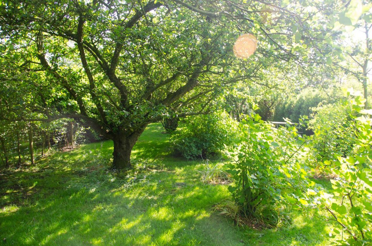 1 Hope Cottage Spilsby Dış mekan fotoğraf